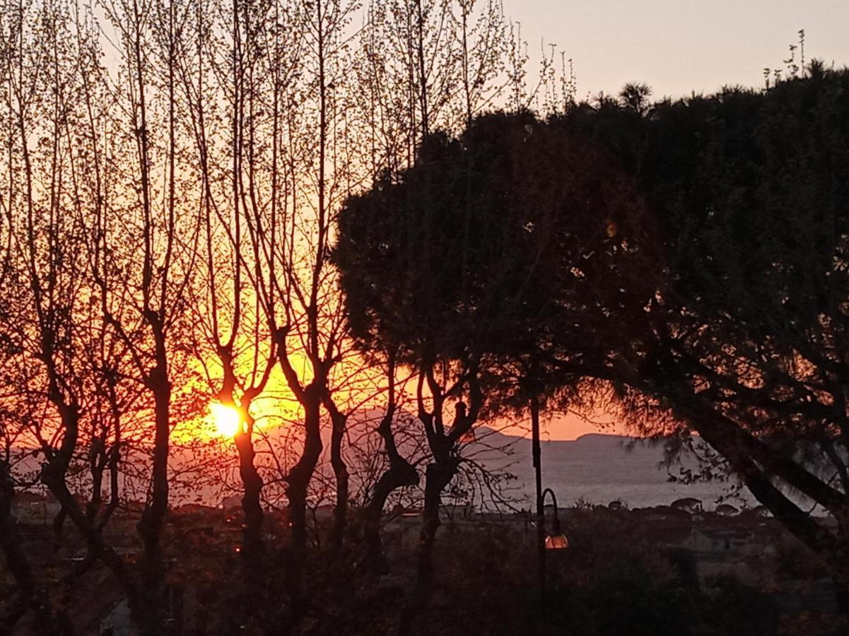 Il Platano Bed & Breakfast Piano di Sorrento Bagian luar foto
