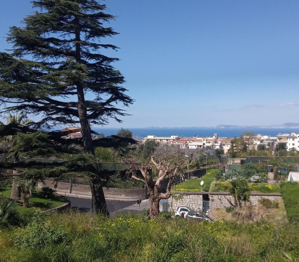 Il Platano Bed & Breakfast Piano di Sorrento Bagian luar foto