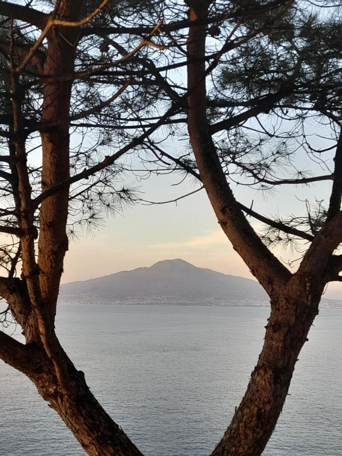 Il Platano Bed & Breakfast Piano di Sorrento Bagian luar foto