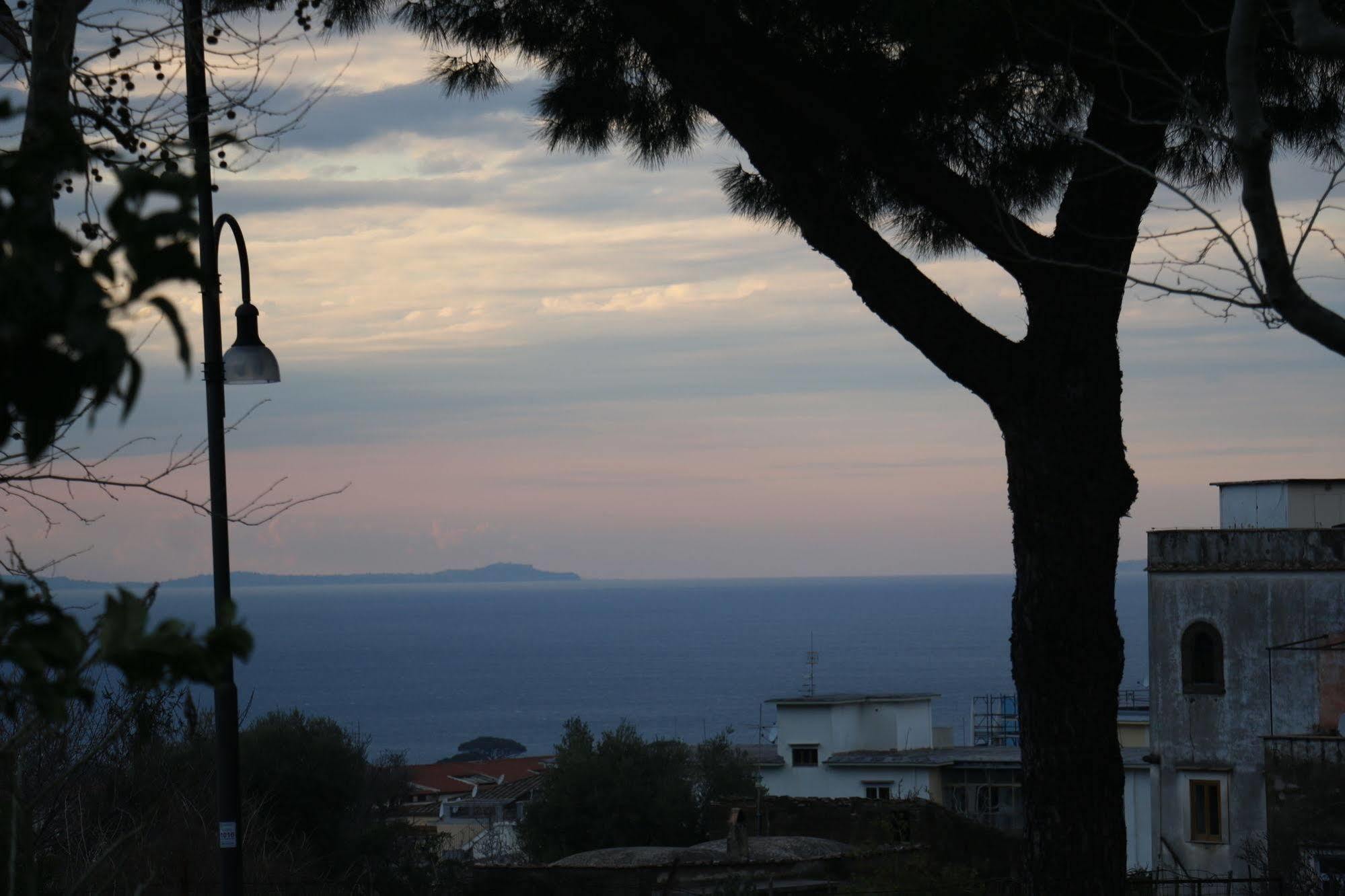 Il Platano Bed & Breakfast Piano di Sorrento Bagian luar foto